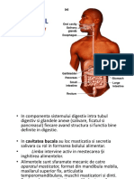 Aparat digestiv I.pdf