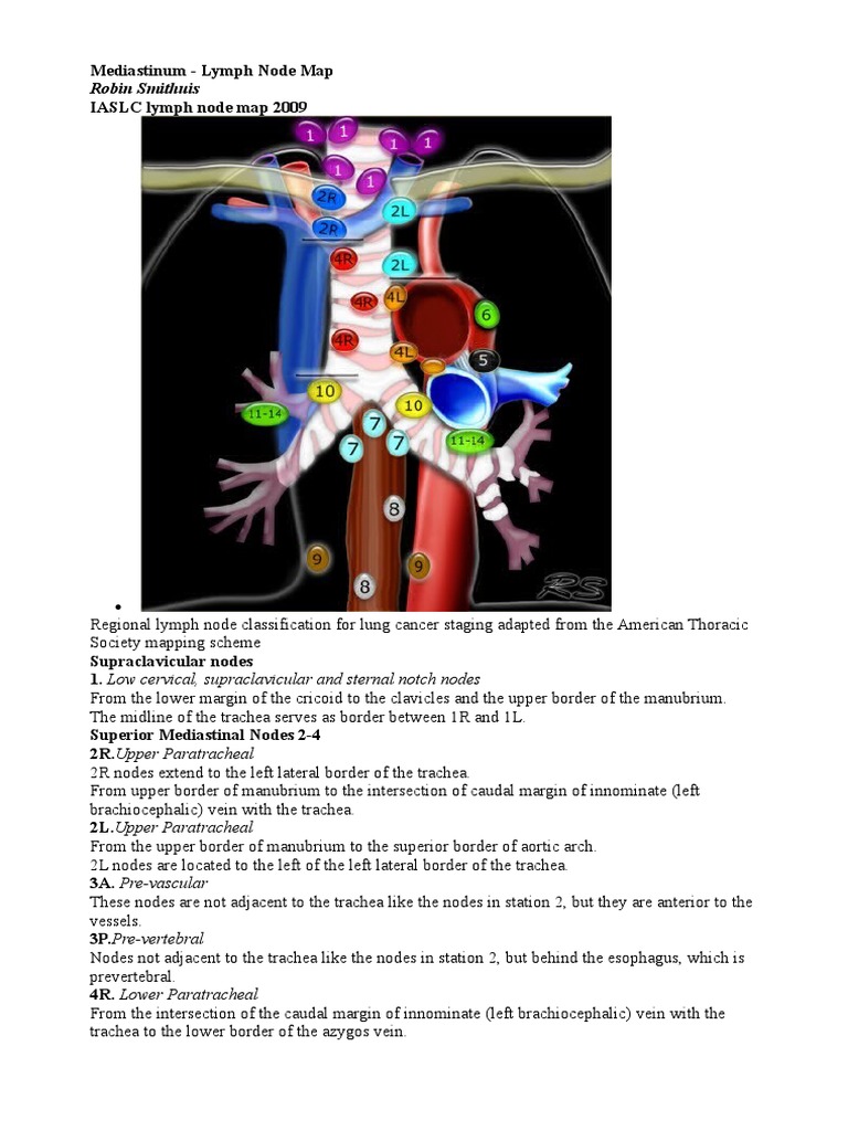 Mediastinal Lymph Node Mapping Guide | PDF | Aorta | Lung