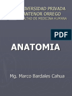 Anatomia: Universidad Privada Antenor Orrego