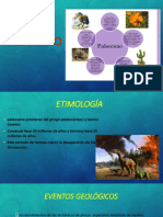 PALEOCENO