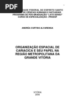A organização Espacial de Cariacica e seu Papel na RMGV