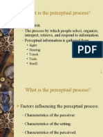 What Is The Perceptual Process?: Perception