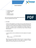 BDS Solucion Gasificante.pdf