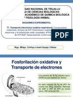 T7. Cadena Respiratoria-CLAV