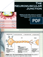 Faal Neuromuscular Junction Dr. Hayati