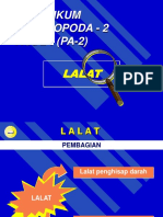 PA-2 Lalat