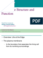 Chapter 7 - Membrane Structure and Function