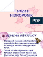 Hidroponik