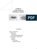 CURS 12.pdf