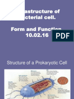 2.ultrastructure of bacterial cell 10.2.2016.ppt