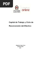 Pp Capital de Trabajo Respaldo