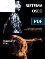 Sistema Locomotor Oseo 1