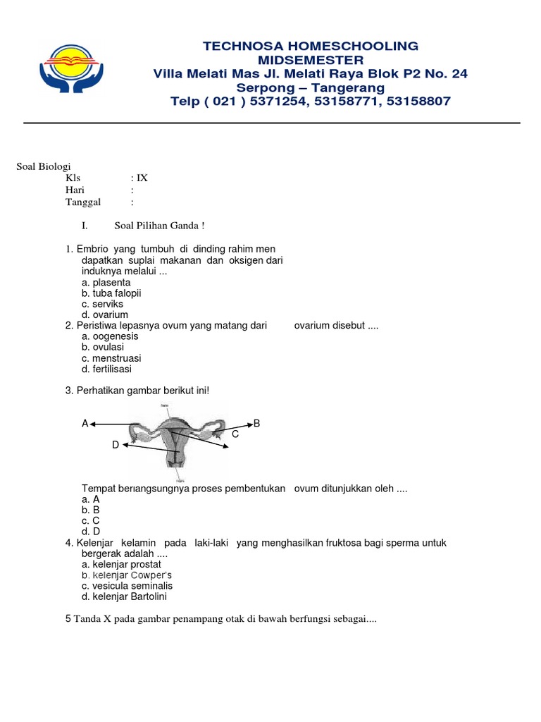 Soal Biologi Kls Ix