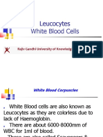 White Blood Corpuscles