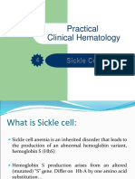 Sickle Cell Test