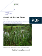 Cattails - A Survival Dinner - Eat The Weeds and Other Things, Too