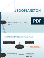 1. Kultur Zooplankton