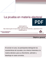 La Prueba en Material Electoral