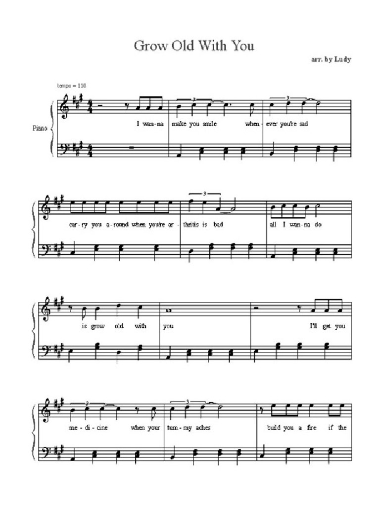 Adam Sandler Grow Old With You PDF