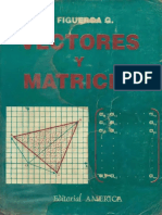 Vectores Matrices Ricardo Figueroa