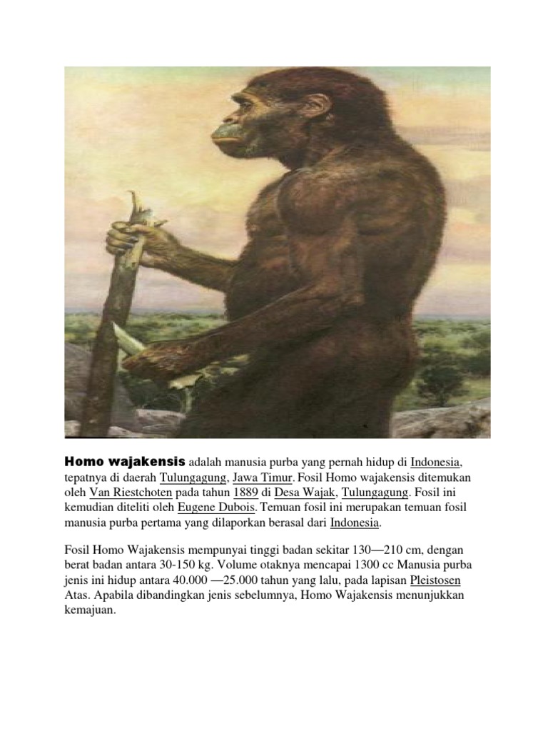 Sejarah Indonesia Pdf