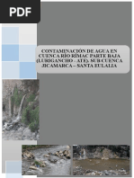 Estudio Hidrológico Cuenca Río Rímac | PDF | Hidrología | Cuenca de drenaje