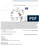 CDC - Dirofliariasis - Biology - Life Cycle of D