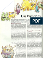 Las bacterias