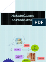 metabolisme-karbohidrat-2010