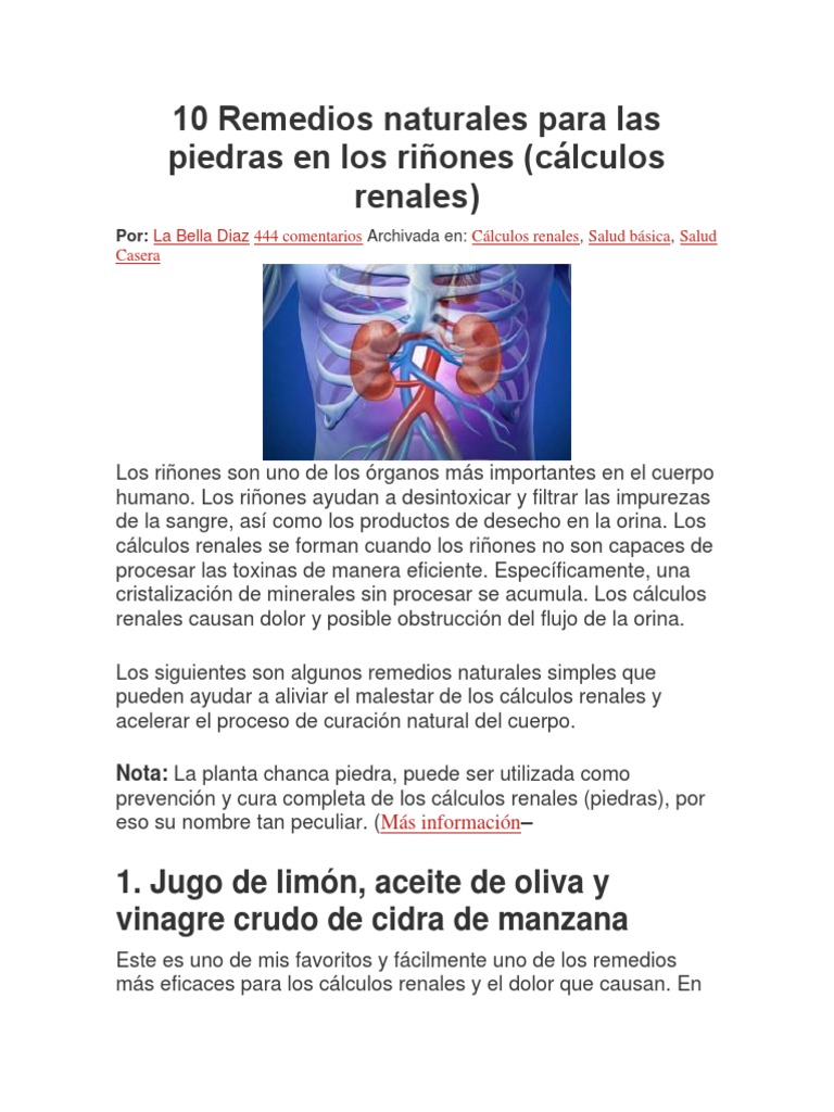 10 Remedios Naturales para Las Piedras en Los Riñones | PDF | Riñón ...