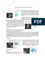 DESCRIPCIÓN DEL PROTOCOLO DE EXPLORACIÓN DE PÁNCREAS Y BAZO.docx