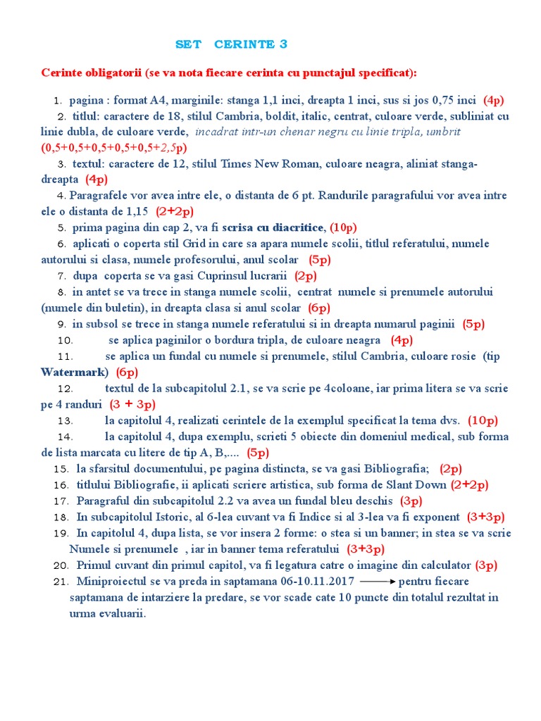 Cerinte Referat Informatica | PDF