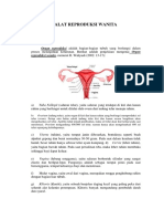 Alat Reproduksi Wanita