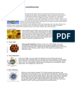 Download Gambar Virus Beserta Penjelasannya by Rhefa Annisa SN365171657 doc pdf
