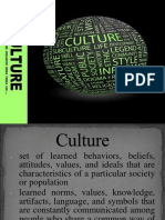 Characteristics of Cultute