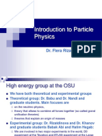 Introduction To Particle Physics: Dr. Flera Rizatdinova