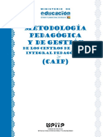 Metodología Del Programa CAIP