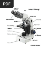 Compound Microscope