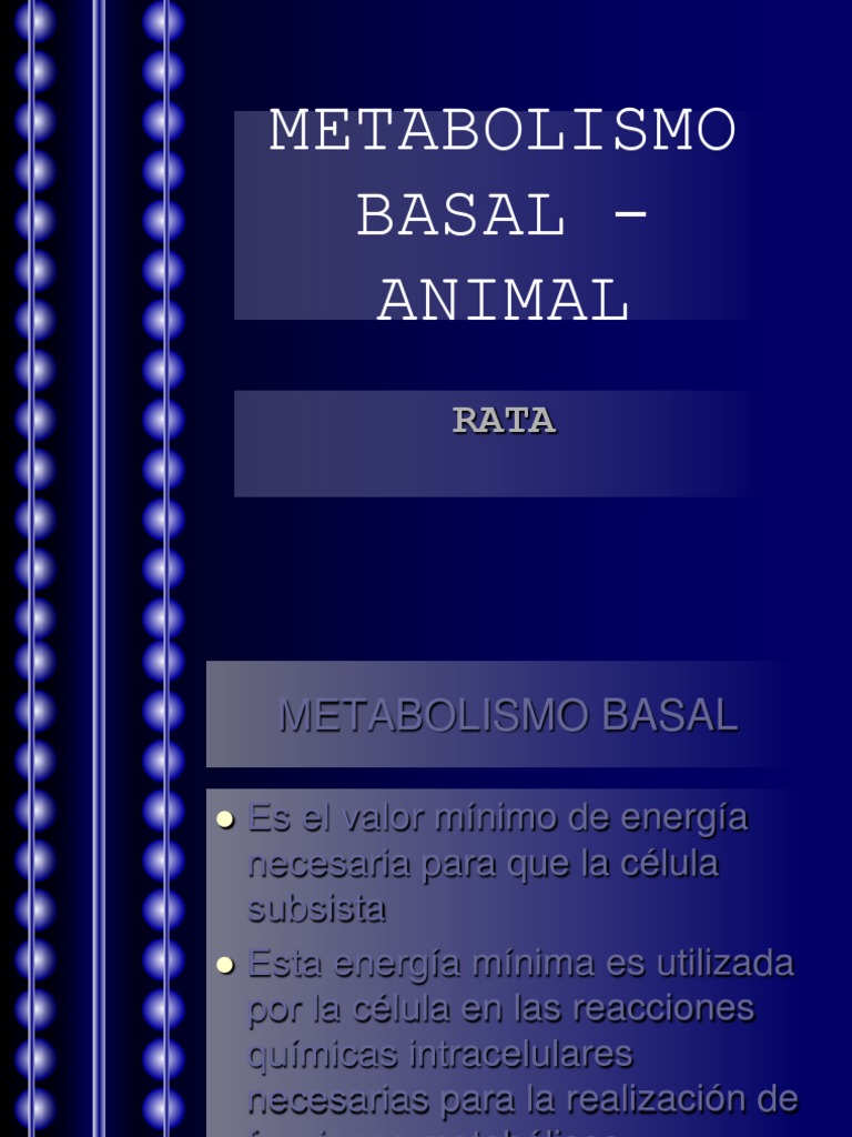 Metabolismo Basal - Animal Biofisica | PDF