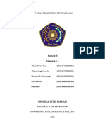 Laporan Praktikum Fitofarmaka Gabungan