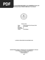 Download Penapisan Bakteri Rizosfir Yang Berperan Dalam Men by pricilia gita SN365191020 doc pdf