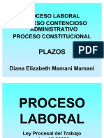 46869088 Plazos Proceso Laboral Contencioso Administrativo y Constitucional