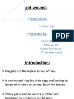 Maggot Wound:: Presented To: DR Farah Ijaz Presented By: M.Aftab Safdar 2013-Va-257 Group B (Clinics) 7 Smester (Eve)