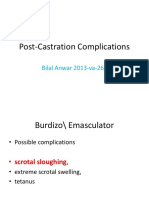Post-Castration Complications: Bilal Anwar 2013-Va-261
