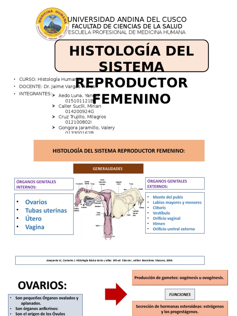 Histologia Del Sistema Reproductor Femenino Copia