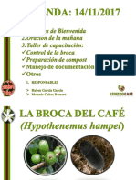 Manejo Integrado de La Broca Del Cafe