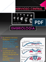 Embriologa Del Sistema Nervioso Central 