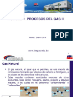 Composición y tratamiento del gas natural