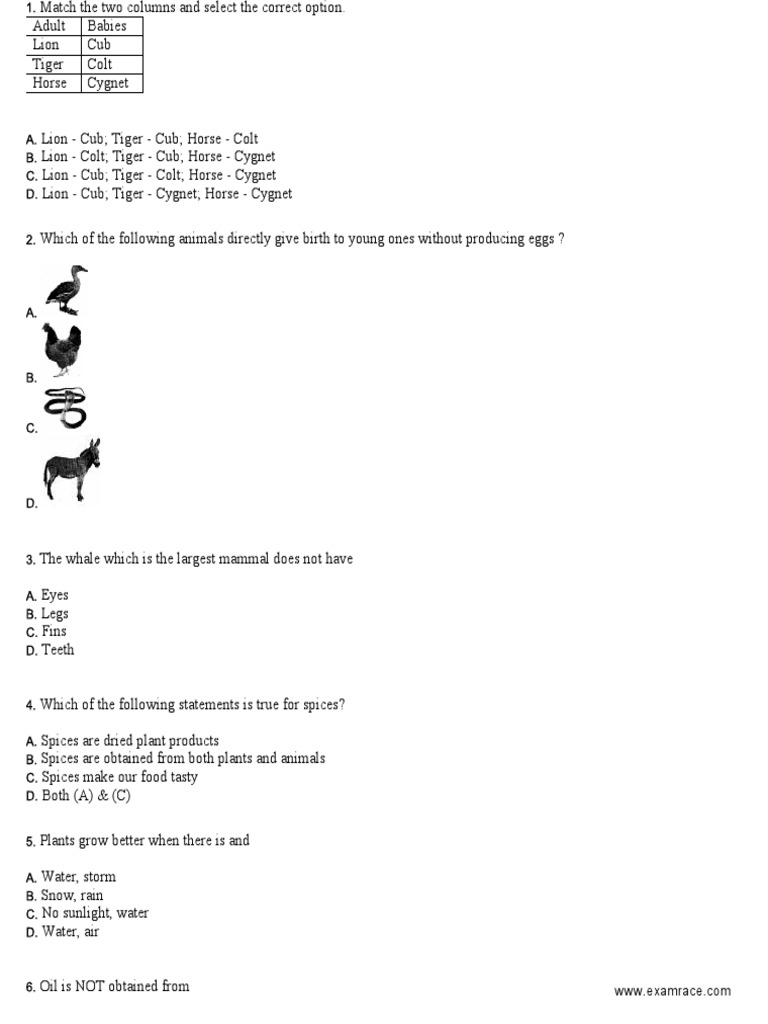 NSO Sample Paper Class 2 PDF | PDF | Planets | Weaving