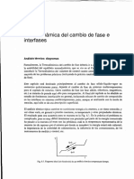 01 Termo cambio fase interfases.pdf